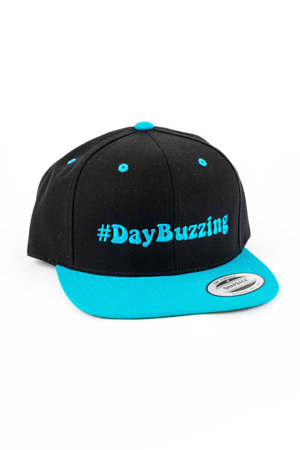 DayBuzzing - Baseball Hat (color: Black/Turquoise)